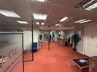 Somos uno de los 10 mejores centros auditivos de Bilbao Somos uno de los 10 mejores centros auditivos de Bilbao