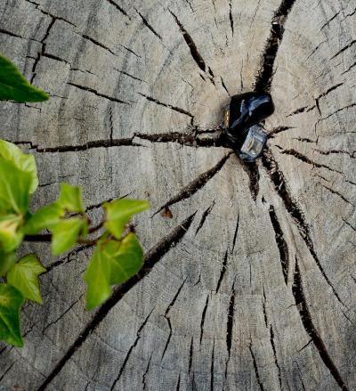 Ofertas de audífonos invisibles en Bilbao Ofertas de audífonos invisibles en Bilbao